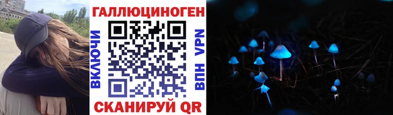 Псилоцибиновые грибы GOLDEN TEACHER  даркнет сайт  Николаевск 